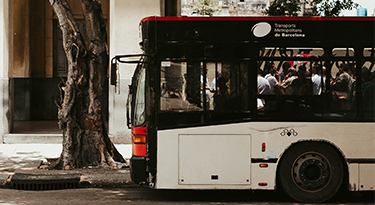 Bus de transit